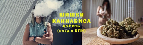 СК Бердск