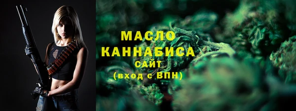 гидра Мегион