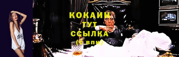 гидра Мегион