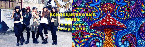 гашик Магас