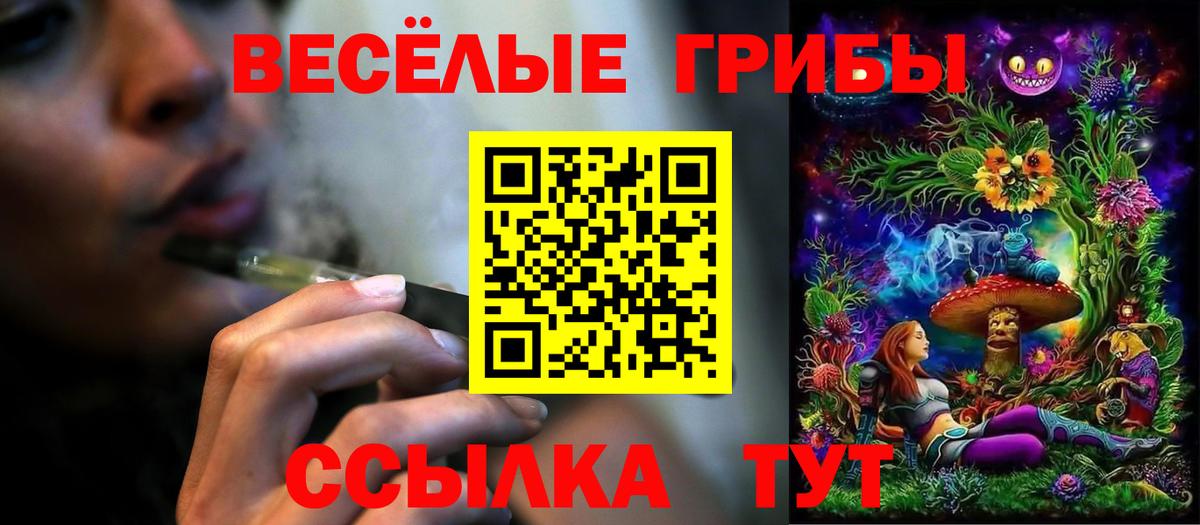 A PVP Омск